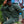 Load image into Gallery viewer, signature “forest” Sweatshirt
