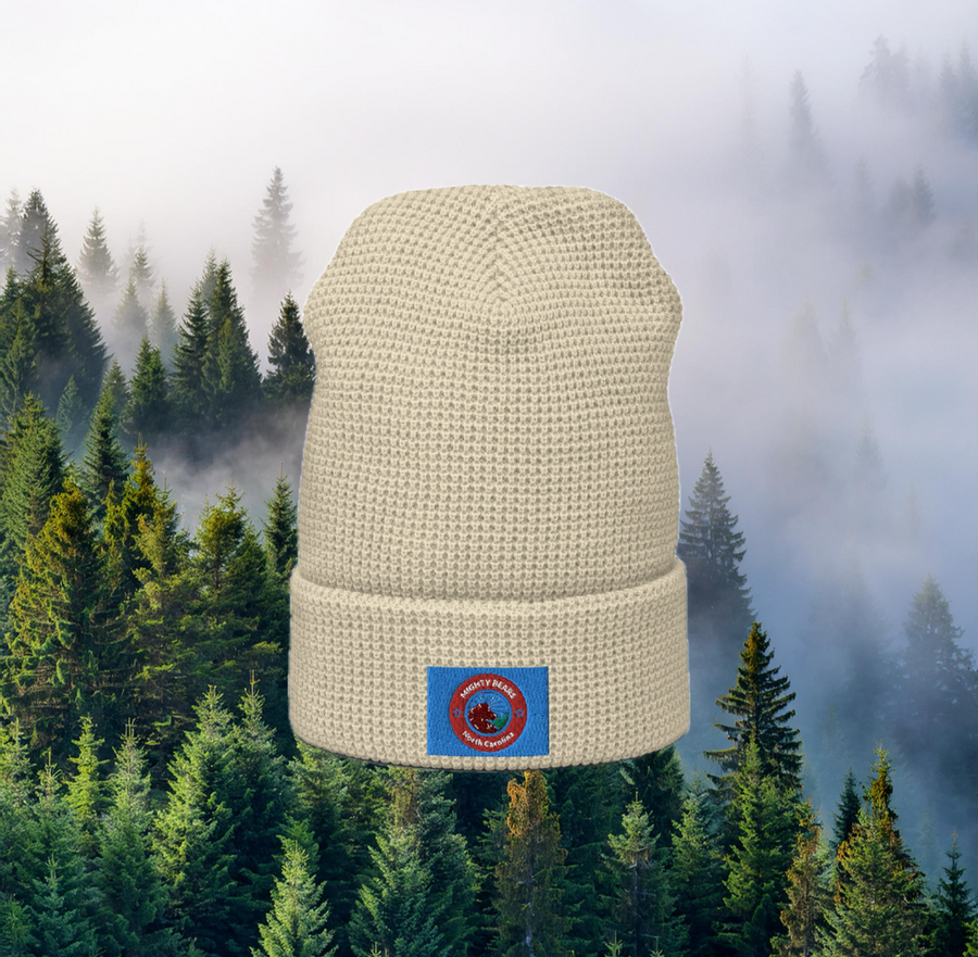 N-C mighty bear waffle beanie