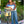 Load image into Gallery viewer, Signature “bruin” wind breaker
