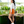 Load image into Gallery viewer, signature orange Comfort fit style shorts
