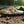 Load image into Gallery viewer, Men comfy Indoor forest Slippers
