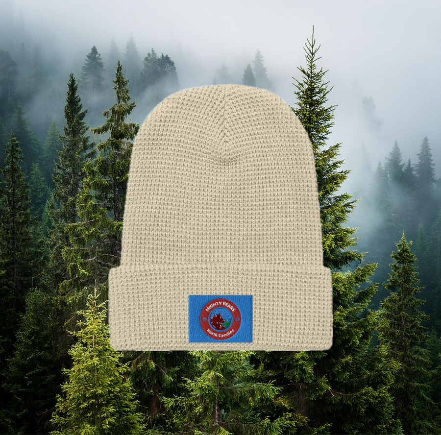N-C mighty bear waffle beanie