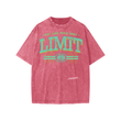 Load image into Gallery viewer, Signature “braveheart” Snow Washed Kids' T-Shirt
